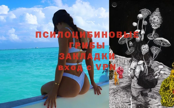 ECSTASY Михайловка