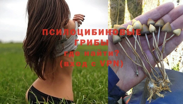 метадон Надым