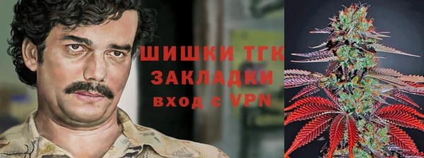 ГАЛЛЮЦИНОГЕННЫЕ ГРИБЫ Навашино