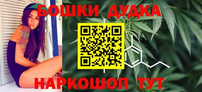 стафф Кандалакша