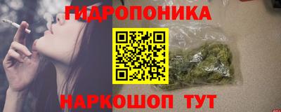 сатива Камышлов