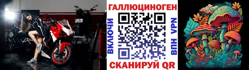 купить закладку Моздок Псилоцибиновые грибы Magic Shrooms