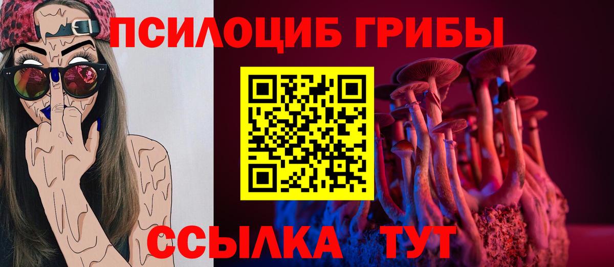 Псилоцибиновые грибы GOLDEN TEACHER Моздок